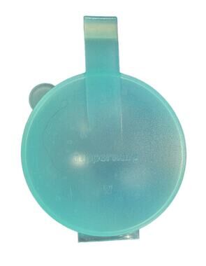 Tupperware Forget Me Not Large Hanging Tomato Onion Keeper Aqua #4201